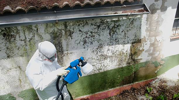 Top rated local Crawl Space Mold Removal specialists in Rutherford, PA